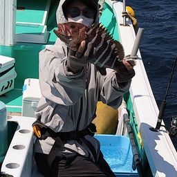 マハタ