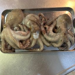 タコ