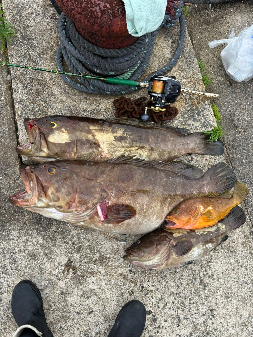 Guest69177430さんの釣果 1枚目の画像