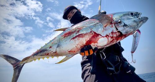 キハダマグロの釣果
