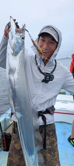 タチウオの釣果