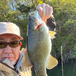 スモールマウスバス