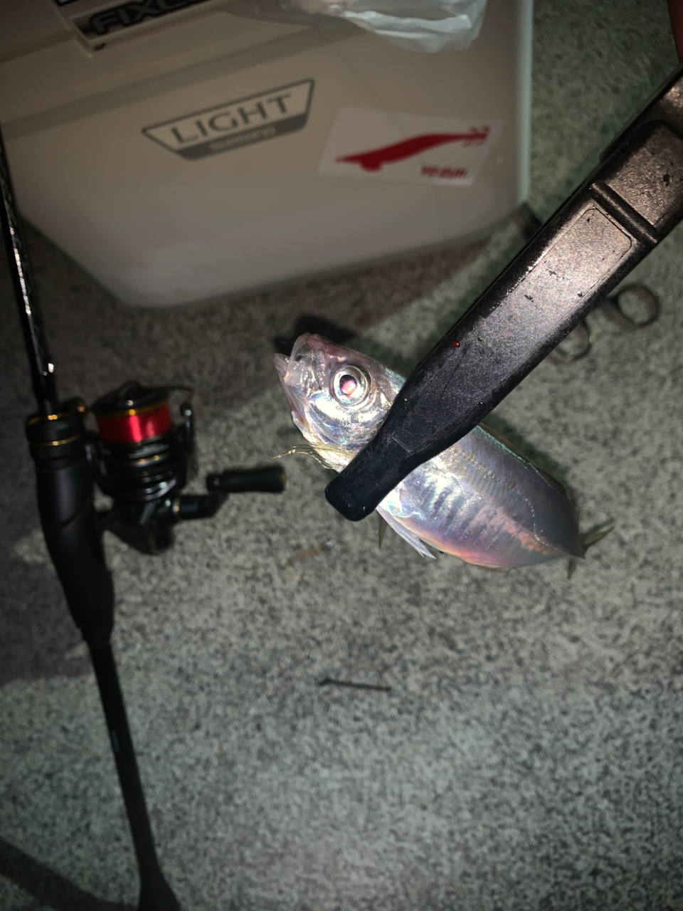 Shimano Saltwater Fishing Spinning Rod 21 Soare XR S68UL-S 6