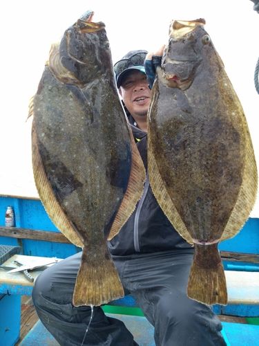 ヒラメの釣果