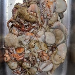 タコ