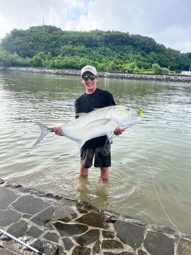 GTの釣果