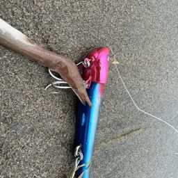 ダイナンウミヘビ