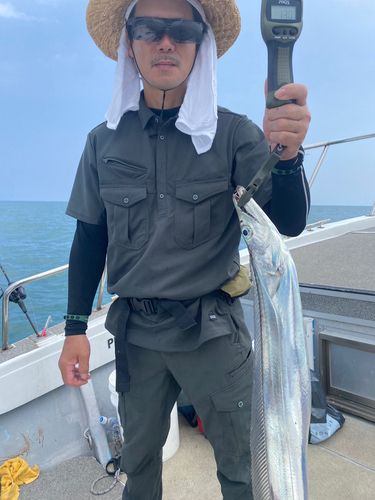 タチウオの釣果