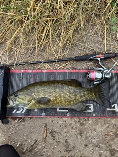 スモールマウスバスの釣果