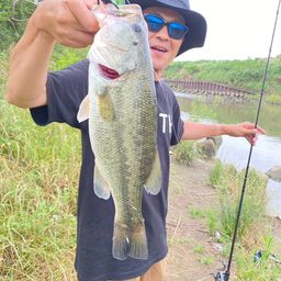 ラージマウスバス