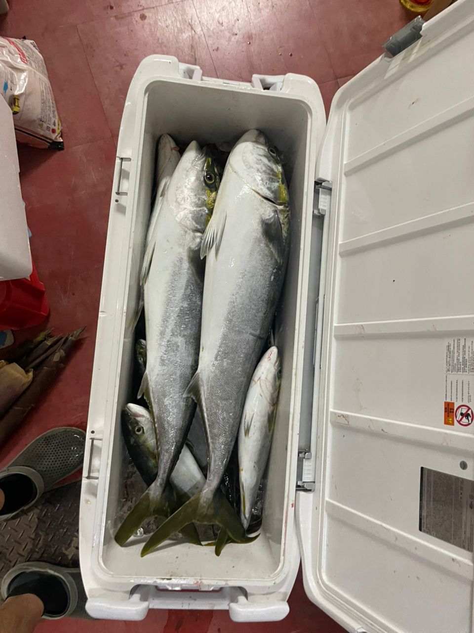 SHIMANO 23オシアジガー リミテッド (スピニング) S62-3の最安値