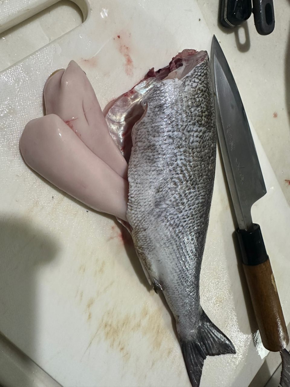 デコる水産部隊さんの釣果 2枚目の画像