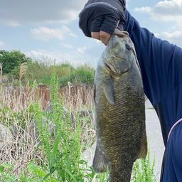 スモールマウスバス