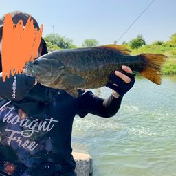 スモールマウスバス