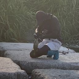 スモールマウスバス