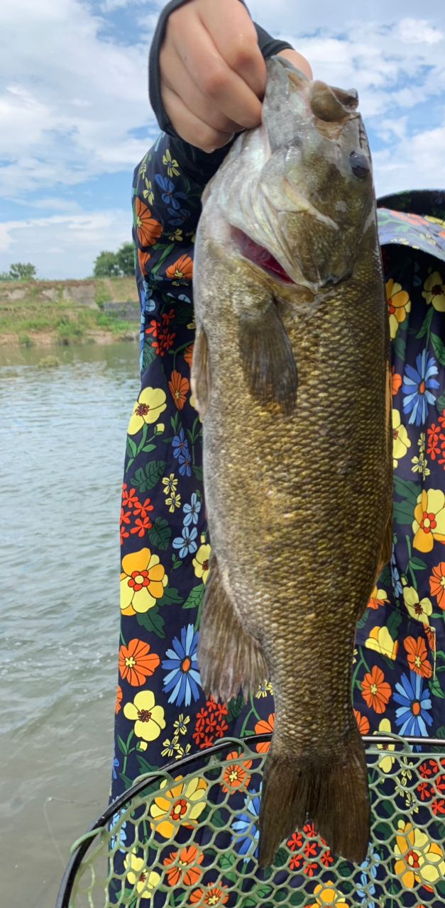 スモールマウスバス