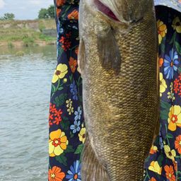 スモールマウスバス