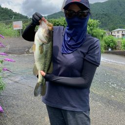 ラージマウスバス