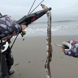 ホタテウミヘビ