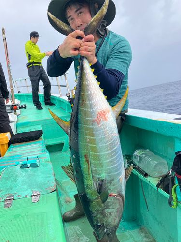 キハダマグロの釣果
