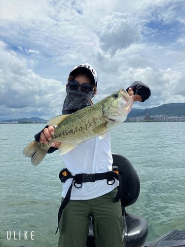 ブラックバスの釣果