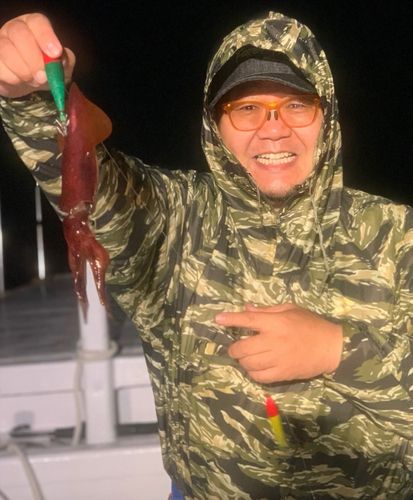 スルメイカの釣果