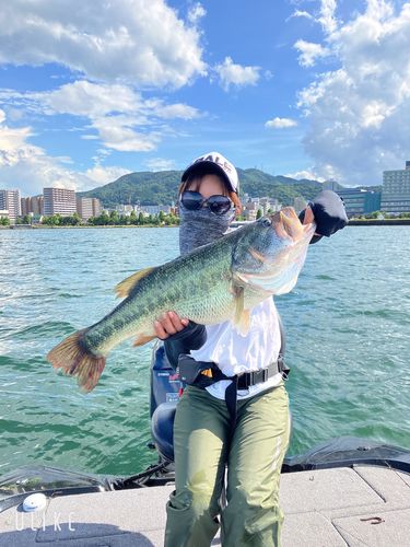 ブラックバスの釣果