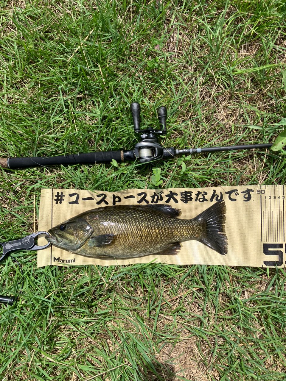 スモールマウスバス