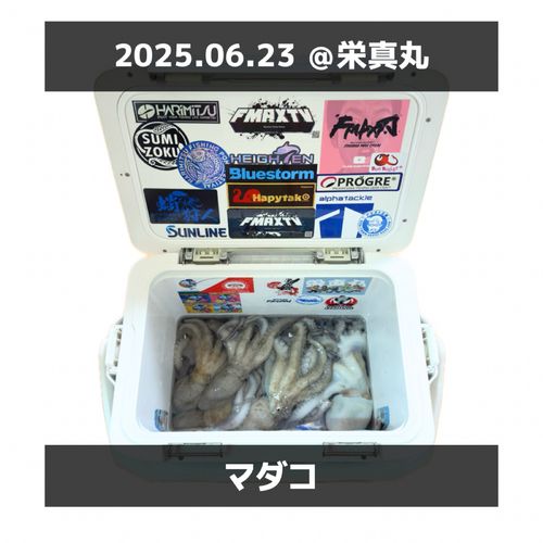 タコの釣果
