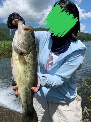 ラージマウスバスの釣果