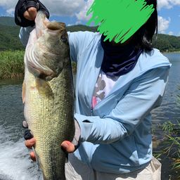 ラージマウスバス