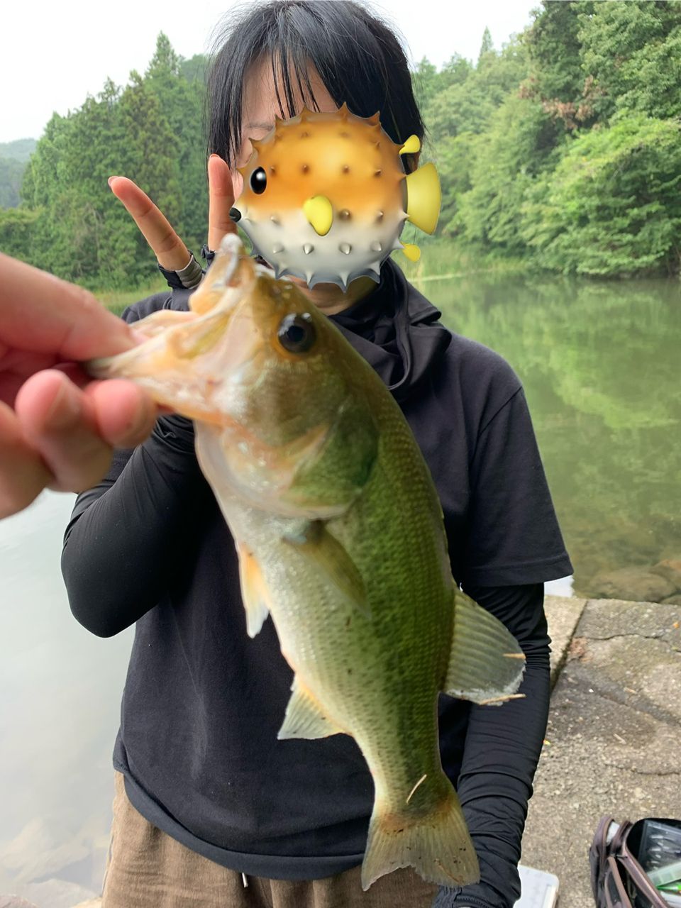 ラージマウスバス