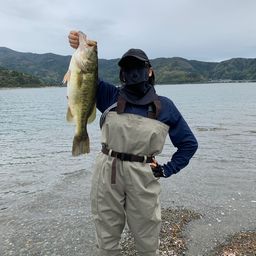 ラージマウスバス