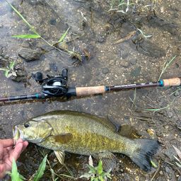 スモールマウスバス