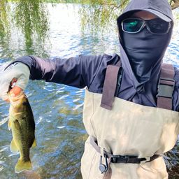 ラージマウスバス