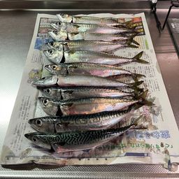 サバ