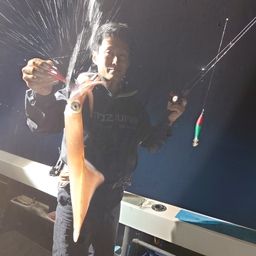 ヤリイカ