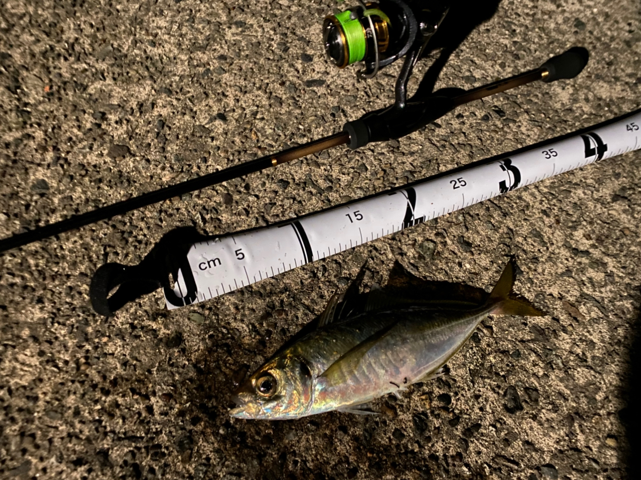 20-60代 人気ファッションブランド SHIMANO S64UL-Sの最安値・インプレ・釣果 アジング BB 19ソアレ ロッド