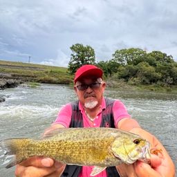 スモールマウスバス