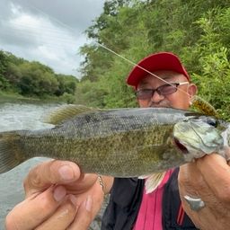 スモールマウスバス