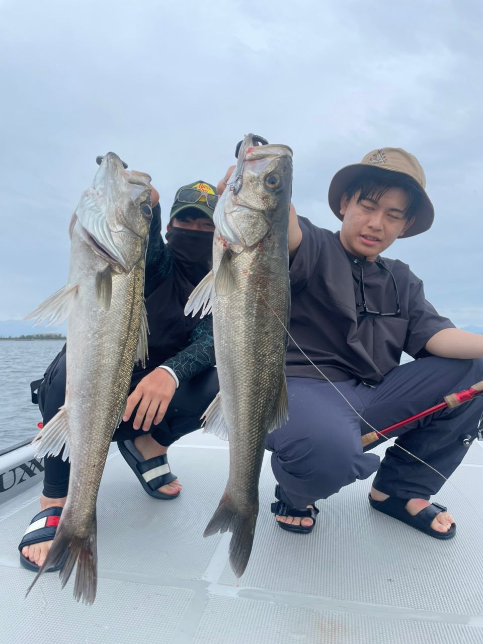 QUESTさんの釣果 3枚目の画像