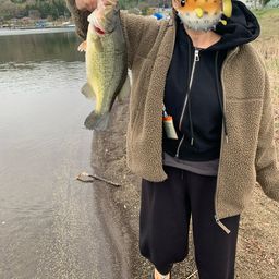 ラージマウスバス