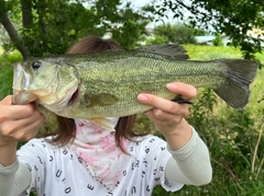 ブラックバスの釣果