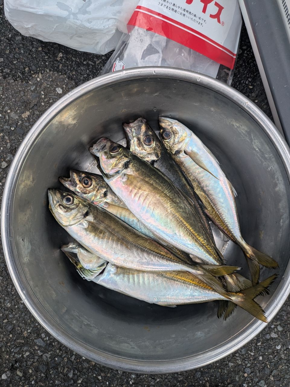 のん7809さんの釣果 2枚目の画像