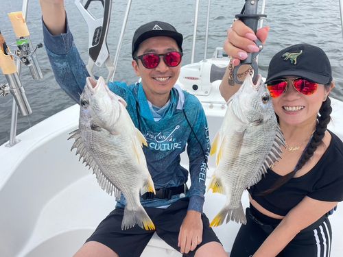 チヌの釣果
