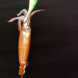 イカ