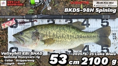 ブラックバスの釣果