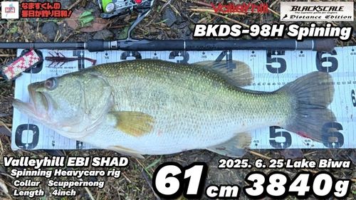 ブラックバスの釣果