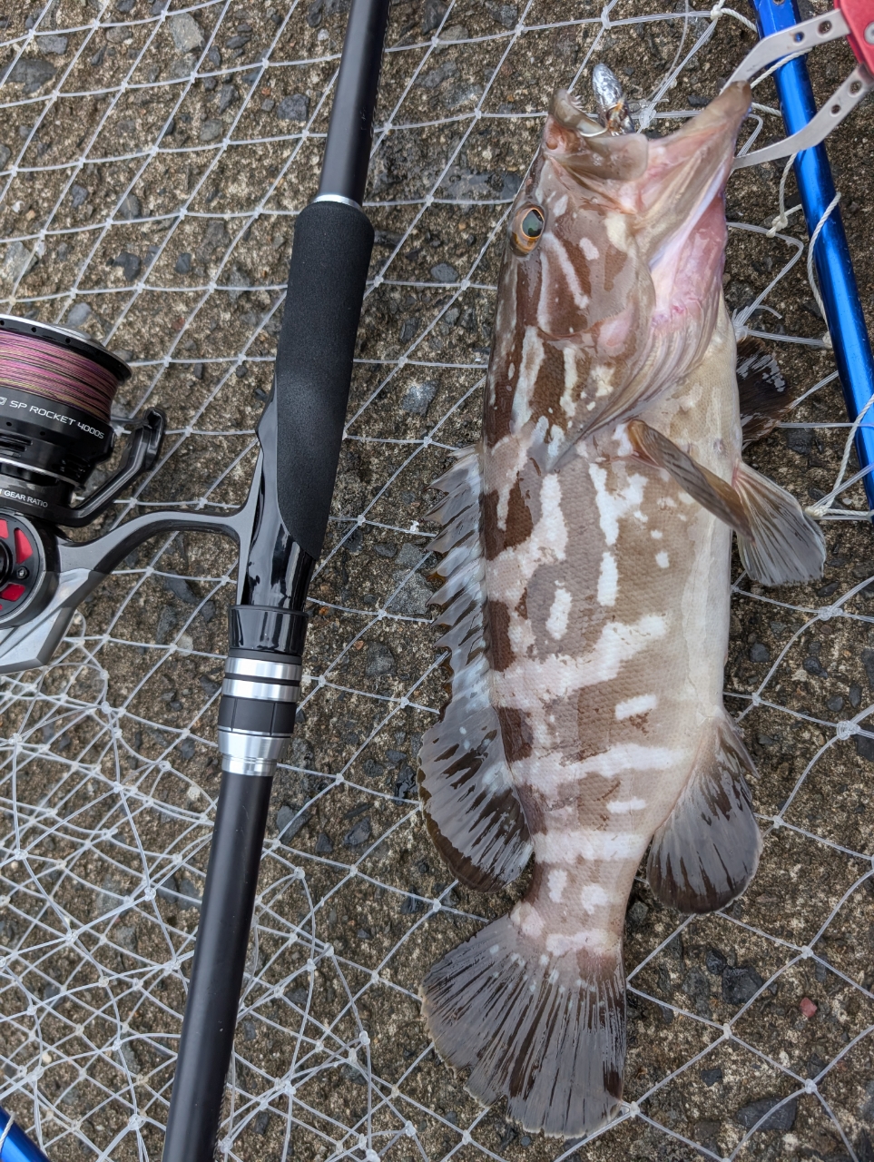 シマノ(SHIMANO) 19 ハードロッカー BB S92MH（シマノ】 19