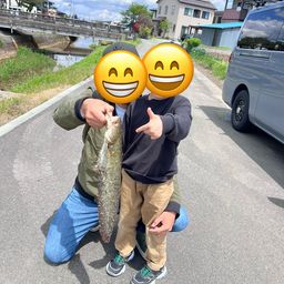 ナマズ